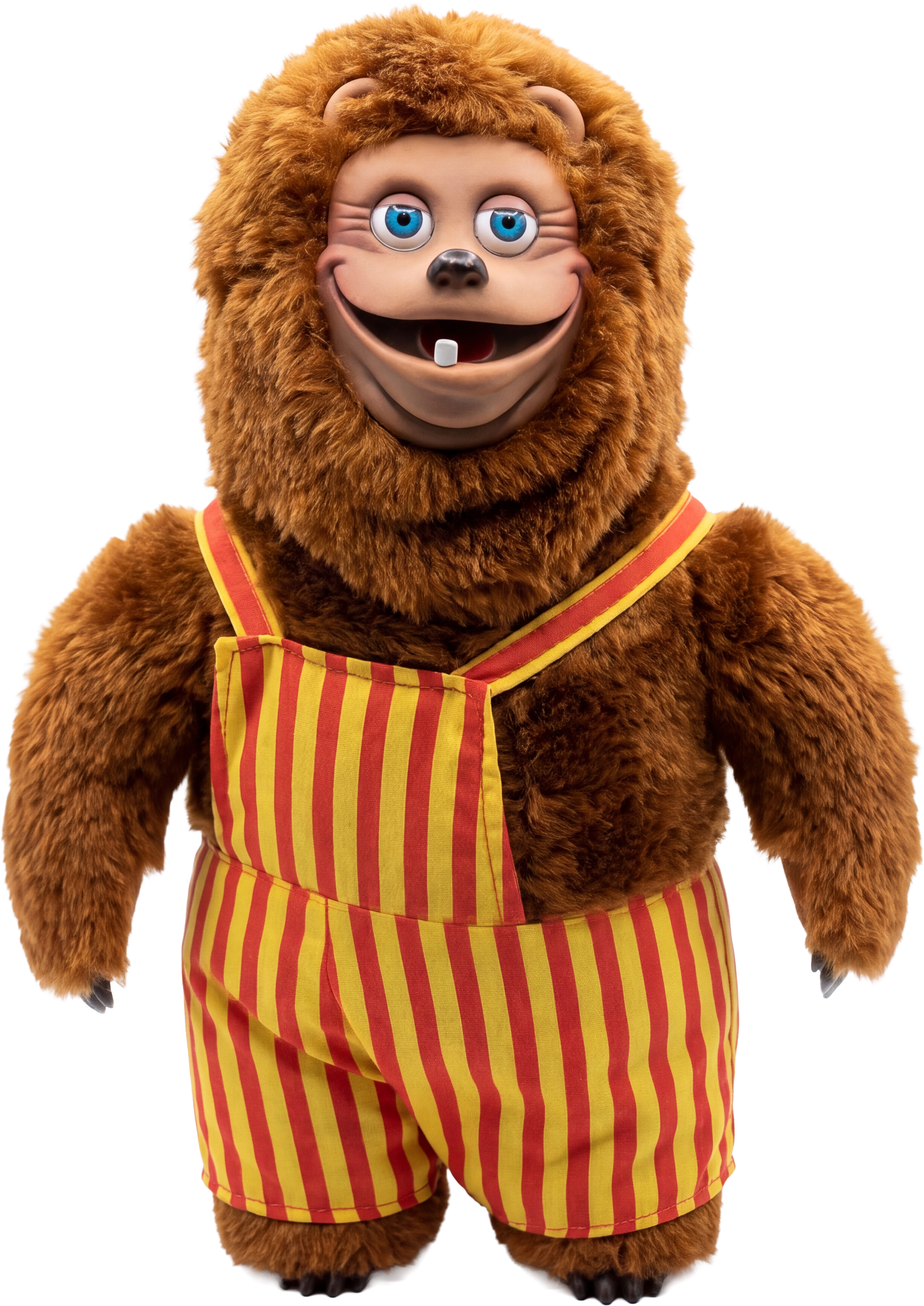 Bob Doll